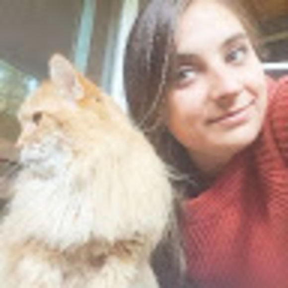 Meet your Posher, Rio - Picture 1 of 1